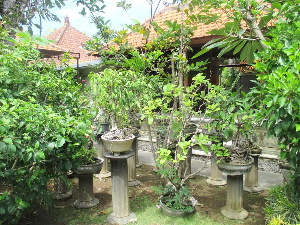 Mona Homestay سانور المظهر الخارجي الصورة