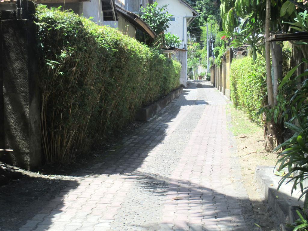 Mona Homestay سانور المظهر الخارجي الصورة